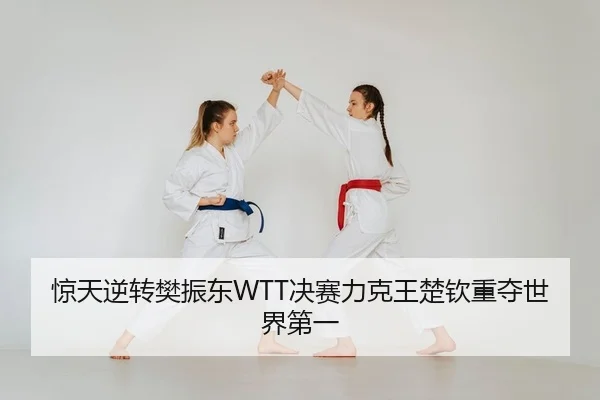 惊天逆转樊振东WTT决赛力克王楚钦重夺世界第一